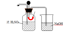 次氯酸漂白作用实验改进